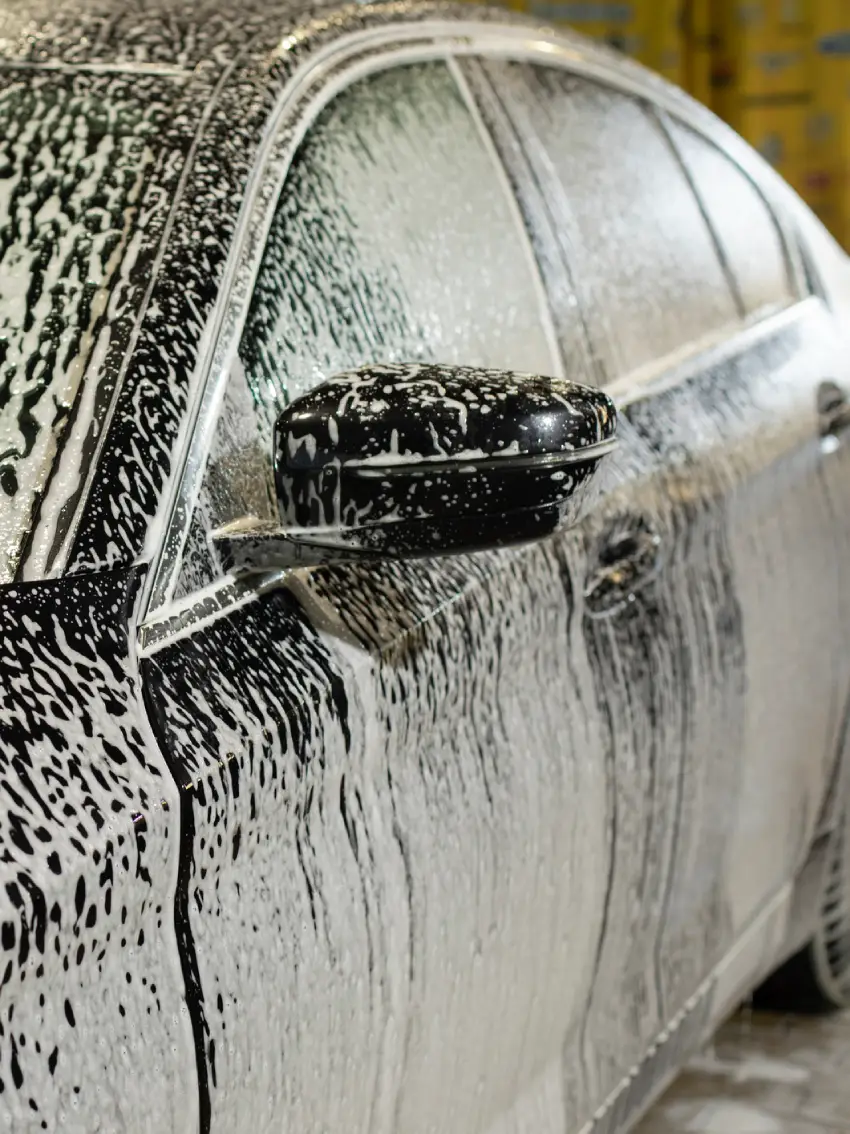 Professional Car Washing