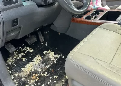 Automotive Wash
