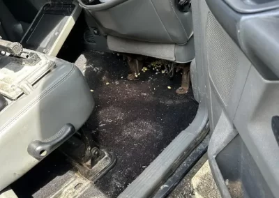 Car Washing