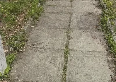 Pressure Wash (1)