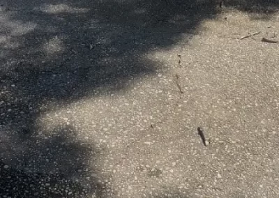 Pressure Wash (11)